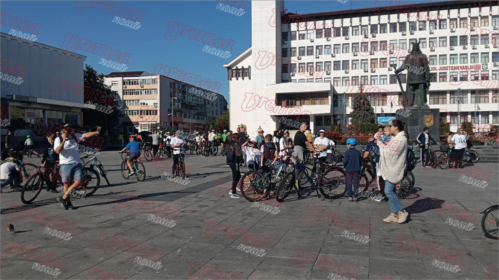 Controale la lemnarii din zona Dornei: 82 de sancțiuni, peste 74.000 de lei amenzi și 20,9 metri cubi de lemn confiscat