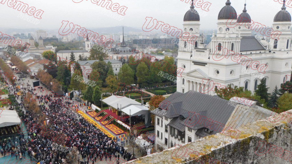 Controale la lemnarii din zona Dornei: 82 de sancțiuni, peste 74.000 de lei amenzi și 20,9 metri cubi de lemn confiscat