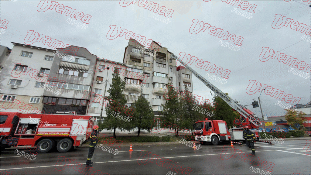 Controale la lemnarii din zona Dornei: 82 de sancțiuni, peste 74.000 de lei amenzi și 20,9 metri cubi de lemn confiscat